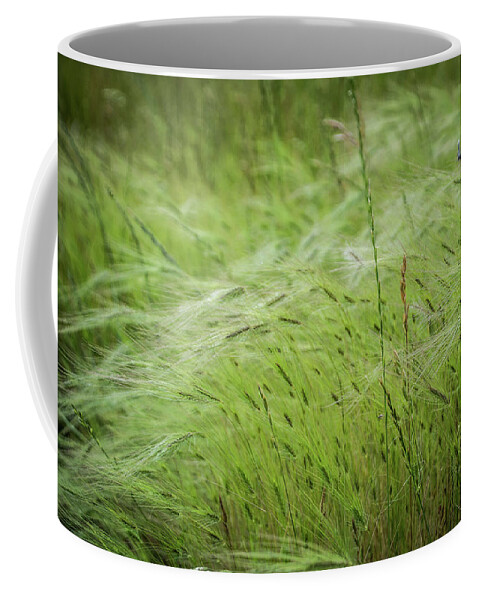 Spring Coffee Mug featuring the photograph Spring Grasses by Steph Gabler
