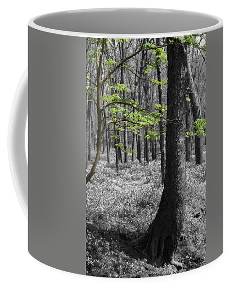 Trees Coffee Mug featuring the photograph Spring Greeting by Dylan Punke