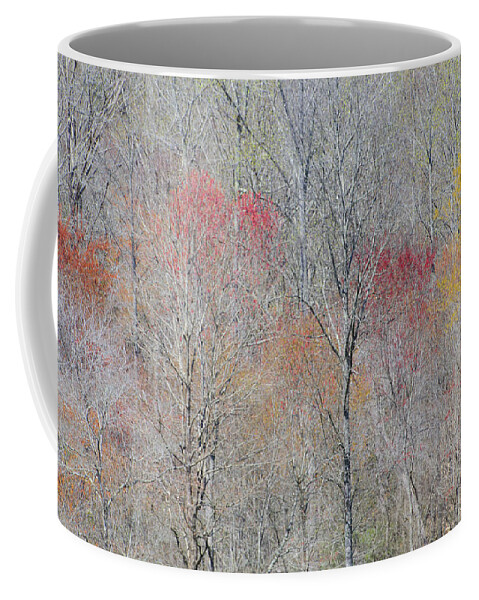 Abstract Art Coffee Mug featuring the photograph Spring Growth by Mary Buck