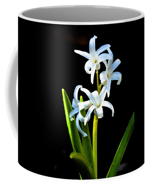 Macro Coffee Mug featuring the photograph Spring Has Sprung by Lisa Kilby