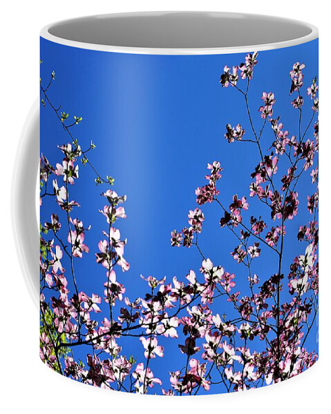 Springtime Coffee Mug featuring the photograph Spring in Louisville by Merle Grenz