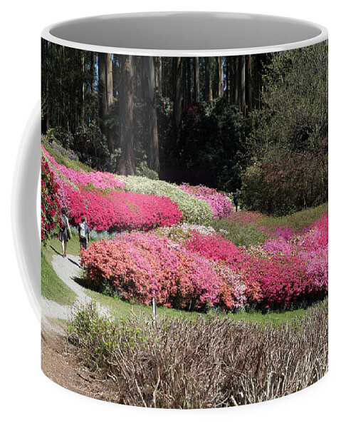 Flower Coffee Mug featuring the photograph Spring in Melbourne by Masami IIDA