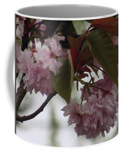 Cherry Blossoms Coffee Mug featuring the photograph Spring In Pink 2 by Kim Tran