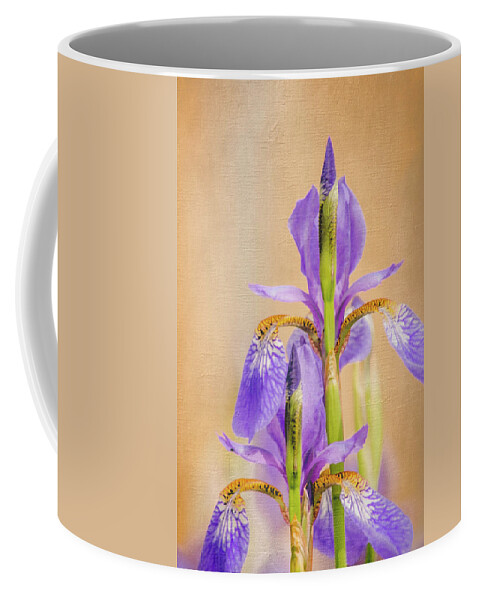 Spring Irises 2 Coffee Mug featuring the photograph Spring Irises 2 by Debra Martz