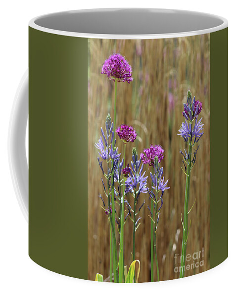 Purple Allium Coffee Mug featuring the photograph Spring Joy by Karen Adams