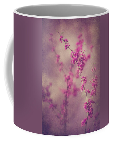 Cherry Blossoms Coffee Mug featuring the photograph Spring Melody by Elvira Pinkhas
