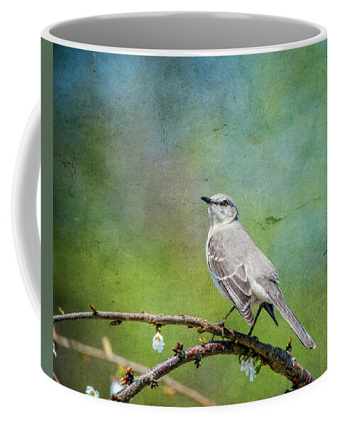 Bird Coffee Mug featuring the photograph Spring Mockingbird by Cathy Kovarik