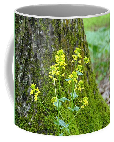 Moss Coffee Mug featuring the photograph Spring Moss by Mary Halpin
