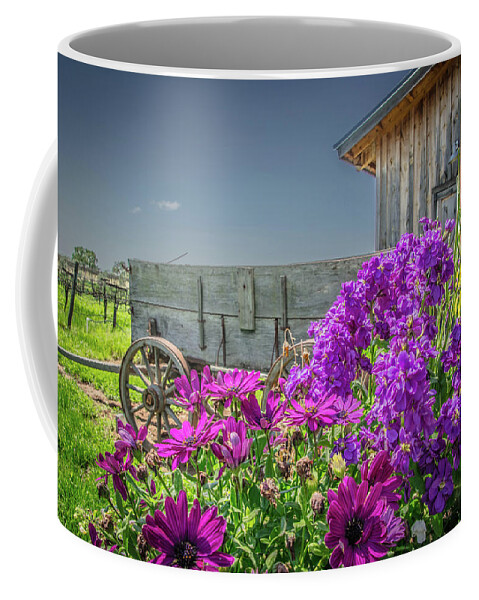 Farm Coffee Mug featuring the photograph Spring on the Farm by Steph Gabler