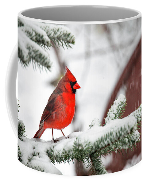 Cardinal Coffee Mug featuring the photograph Snowbird by Dale R Carlson
