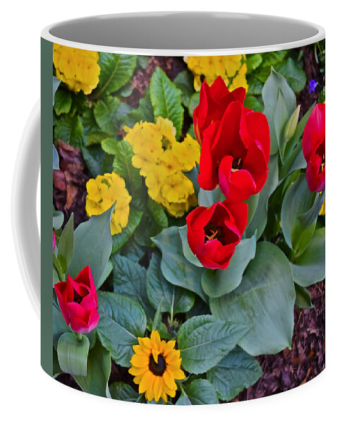 Tulips Coffee Mug featuring the photograph Spring Show 15 Red Tulips and Primrose by Janis Senungetuk