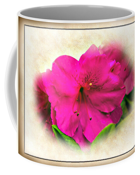 Azalea Coffee Mug featuring the photograph Spring Splendor - Azalea Floral by Barry Jones