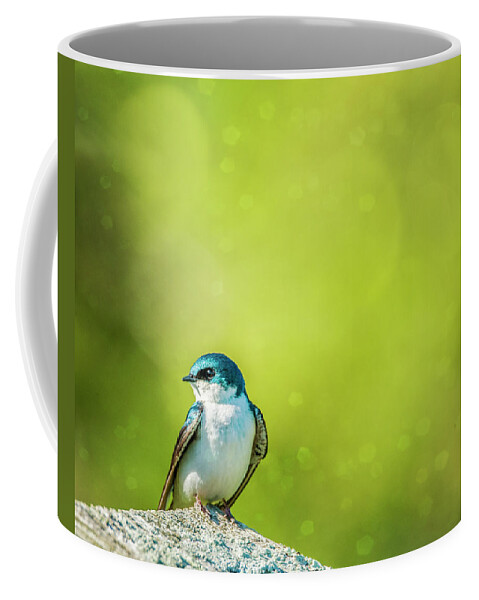 Tree Swallow Coffee Mug featuring the photograph Spring Swallow by Cathy Kovarik