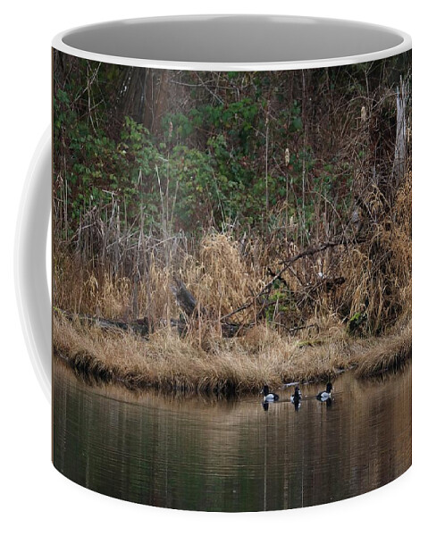 Ring-necked Ducks Coffee Mug featuring the photograph Spring Team by I'ina Van Lawick