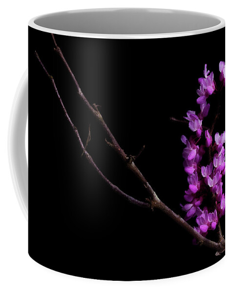 Redbud Coffee Mug featuring the photograph Spring Time 4 by Mike Eingle