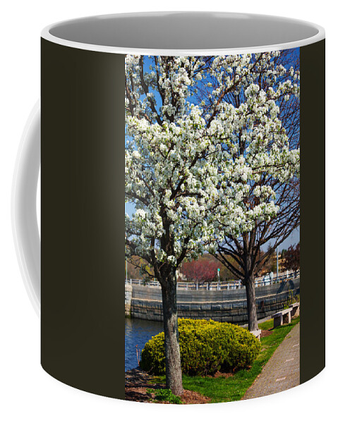 Springtime In Westport Coffee Mug featuring the photograph Spring Time In Westport by Karol Livote