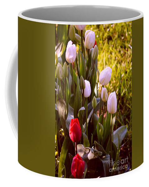 Spring Time Coffee Mug featuring the photograph Spring Time Tulips by Susanne Van Hulst