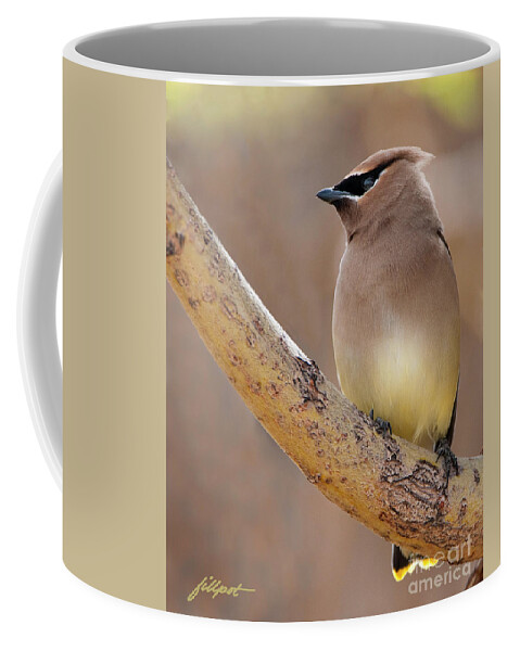 Cedar Wax Wing Coffee Mug featuring the photograph Spring Visitor by Bon and Jim Fillpot