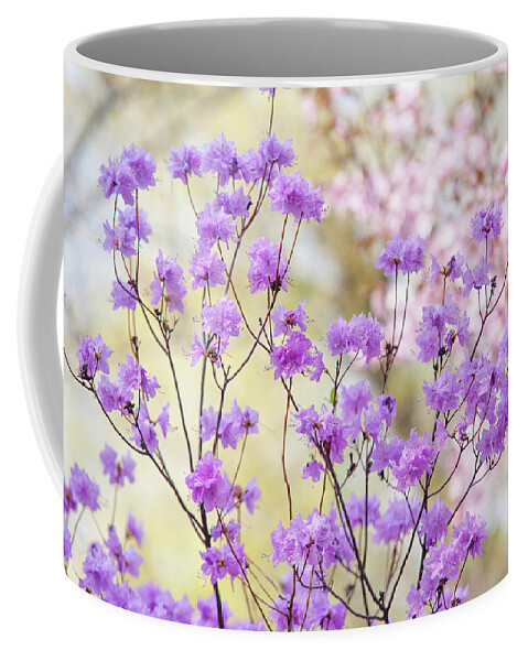 Jenny Rainbow Fine Art Photography Coffee Mug featuring the photograph Spring Watercolors. Blooming Rhododendron by Jenny Rainbow