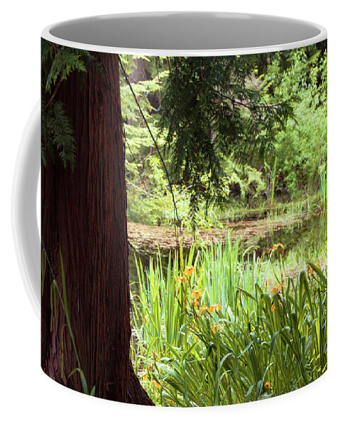 Spring Woodland Coffee Mug featuring the photograph Spring Woodland by Victoria Harrington