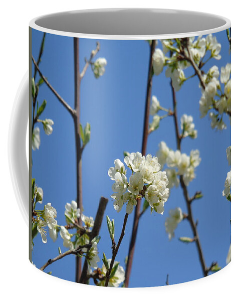 Spring Coffee Mug featuring the photograph Spring by Yohana Negusse