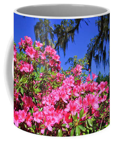 Pink Coffee Mug featuring the photograph Springtime Azaleas by Jill Lang