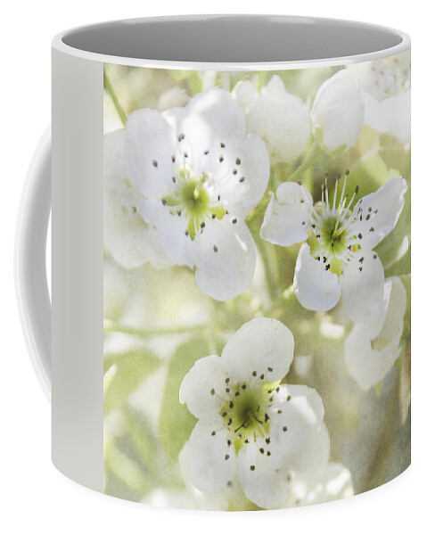 Springtime Coffee Mug featuring the photograph Springtime by Judy Hall-Folde