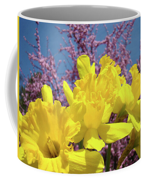Nature Coffee Mug featuring the photograph Springtime Yellow Daffodils Art Print Pink Blossoms Blue Sky Baslee Troutman by Patti Baslee