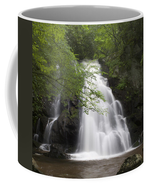 Art Prints Coffee Mug featuring the photograph Spruce Flats Falls by Nunweiler Photography