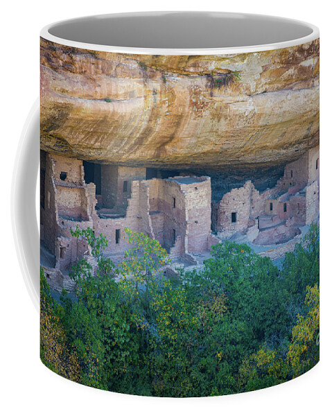 America Coffee Mug featuring the photograph Spruce Tree House by Inge Johnsson