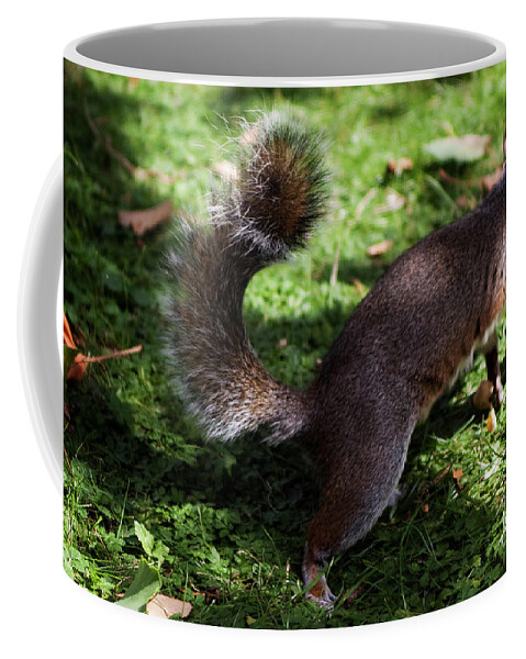 Squirrel Coffee Mug featuring the photograph Squirrel running by Agusti Pardo Rossello