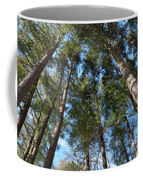 Trees Coffee Mug featuring the photograph Squirrels Highway by Dani McEvoy