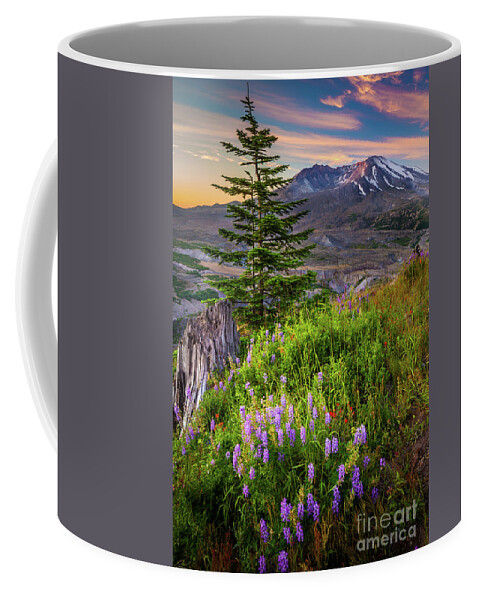 America Coffee Mug featuring the photograph St Helens Caldera by Inge Johnsson