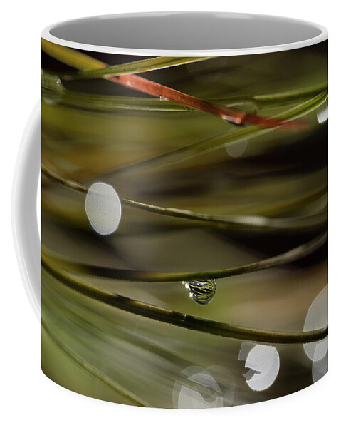 Water Drop Coffee Mug featuring the photograph Stability Among Chaos by Mike Eingle