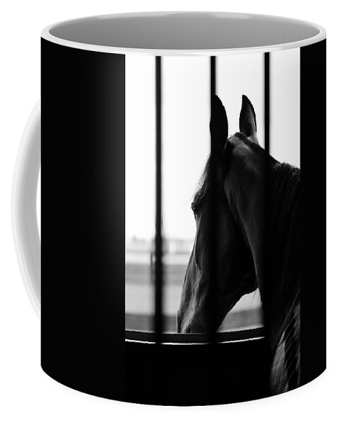 Stable Coffee Mug featuring the photograph Stable Dreaming by Karl Anderson