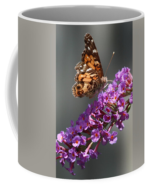 Stained Glass Coffee Mug featuring the photograph Stained glass by Shannon Louder