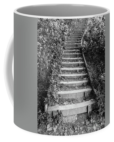 Ann Arbor Coffee Mug featuring the photograph Stairway Through Foliage by Phil Perkins