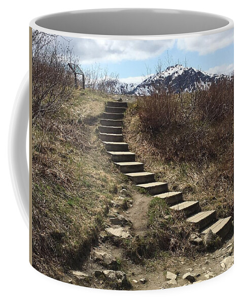 Alaska Coffee Mug featuring the photograph Stairway to Heaven II by Val Oconnor