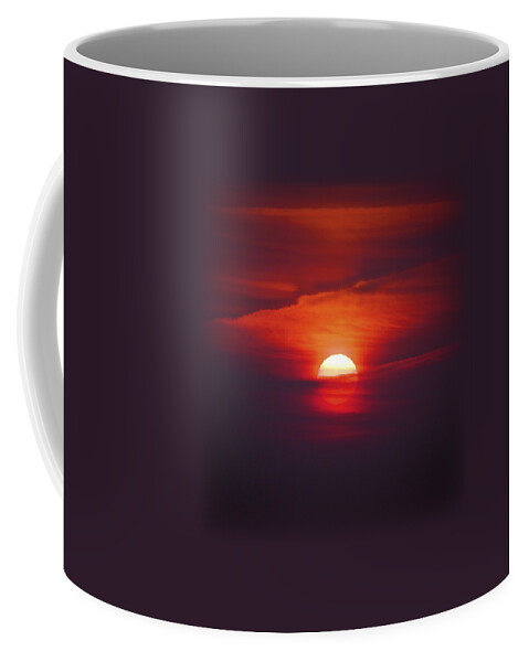 T-shirt Coffee Mug featuring the photograph Stairway To Heaven on Transparent background by Terri Waters