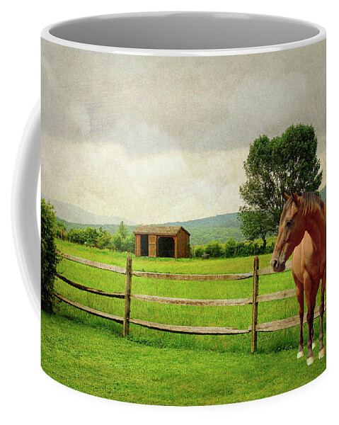 Landscape Coffee Mug featuring the photograph Stallion at Fence by Diana Angstadt
