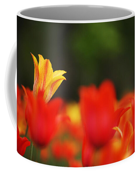 Tulips Coffee Mug featuring the photograph Stand out in the crowd by Steve Gravano