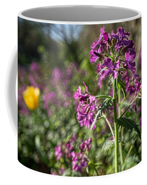 Sharon Popek Coffee Mug featuring the photograph Stand Out by Sharon Popek