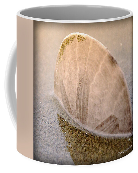 Sand Dollar Coffee Mug featuring the photograph Standing in the Glow by Roxy Hurtubise