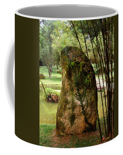 Standing Stone Coffee Mug featuring the photograph Standing Stone with Fern and Bamboo 19A by Gerry Gantt
