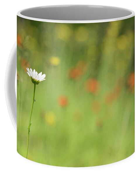 Daisy Coffee Mug featuring the photograph Stands Out by Himself by Kathy Paynter