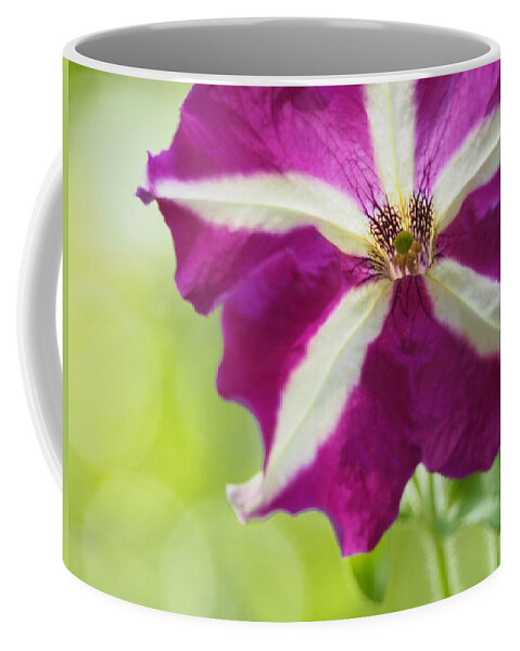 Flowers Coffee Mug featuring the photograph Star by Dorothy Lee