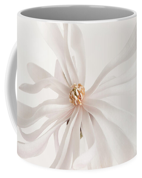 Magnolia Coffee Mug featuring the photograph Star White by Jill Love