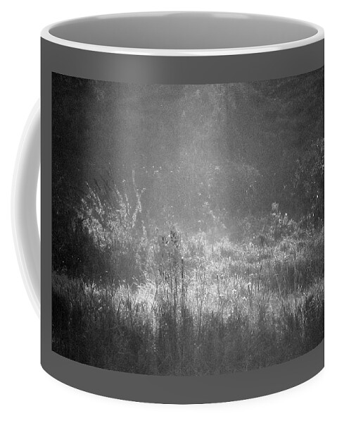 Stardust Coffee Mug featuring the photograph Stardust by Mary Wolf