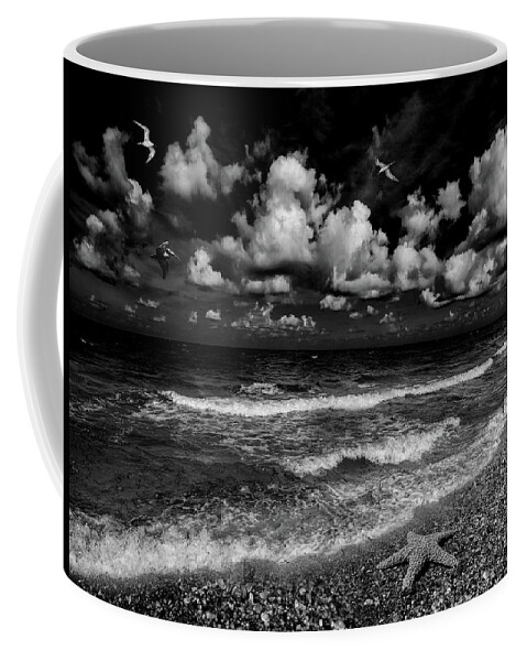 Starfish Coffee Mug featuring the photograph Starfish Beach by Kevin Cable