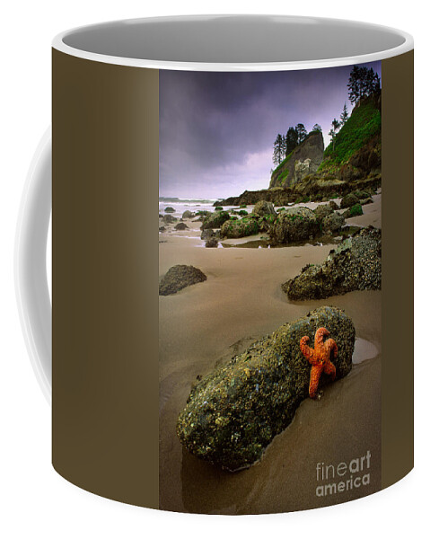 America Coffee Mug featuring the photograph Starfish on the Rocks by Inge Johnsson